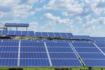 Wall Mural - rows array of polycrystalline silicon solar cells or photovoltaic cells in solar power plant station