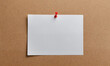 © Miklos - A blank white note is pinned to a brown corkboard with a red pushpin