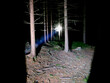 © Michal - horror wandering through the forest at night. the cone of light searches the trees for animals and strangers. searching for the lost. halogen flashlight