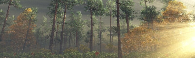 Wall Mural - Forest in the morning in a fog in the sun, trees in a haze of light, glowing fog among the trees, 3D rendering