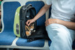 © DimaBerlin - Unrecognizable man hand soothes anxious, quiet cat inside backpack style cat carrier on train. Pet travel with carrier, stress and fear in unfamiliar environment, calms gradually in comfortable bag