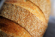 © Tymofii Ignatiev - Crust with sesame seeds of home baked bread