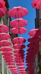 Wall Mural - Rows of pink umbrellas above the streets of the old town in Grasse, France with the blue sky on the background. Vertical