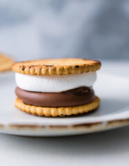 Wall Mural - Tasty marshmallow sandwich with crackers and chocolate. Yummy dessert. Sweet food.