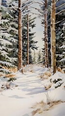 Scenic winter forest path covered in fresh snow, surrounded by tall evergreen trees under a clear, bright sky.