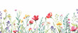 © FEEZAN ALI - water color wildflower