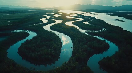 Aufkleber - Bird s-eye view of a symmetrical pattern of winding rivers and wetlands, forming a unique, natural abstract design in a tropical landscape. No text, no logo, wide angle shot, cinematic scene, 4k