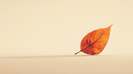 Poster - A single dried leaf on a light beige background, with a slight shadow to accentuate its delicate shape in a minimalist style. No text, no logo, wide angle shot, cinematic scene, 4k resolution