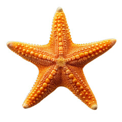 Orange starfish isolated on transparent background. AI Generative