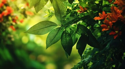 Wall Mural - Sunlit Green Leaves