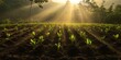 © Stockberry - Local community restoring natural balance, rows of freshly planted saplings, ethereal sunbeams blessing new growth, documentary style photography, powerful environmental message