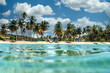 © Stacy Howell - View of the beach from the ocean