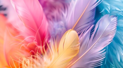 Aufkleber - Colorful feathers background