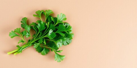 isolated parsley herb on brown paper background, vegetable, parsley