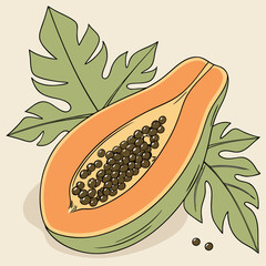 Canvas Print - illustration of a fruit slice of papaya