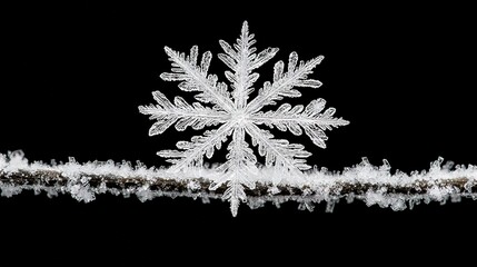 Wall Mural -   Snowflake zoomed on dark canvas with mirrored snow water reflection