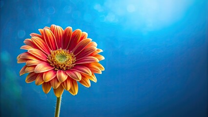 Wall Mural - Vibrant flower against a tranquil blue background, flower, blue, background, nature, vibrant, colorful, beauty, petal, bloom, botany