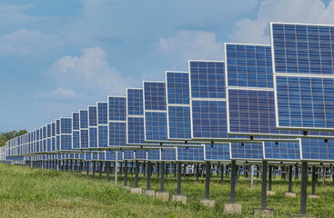 Wall Mural - rows array of polycrystalline silicon solar cells or photovoltaic cells in solar power plant station