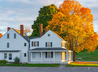 Wall Mural - sunlight on residential house and yellow autumn trees
