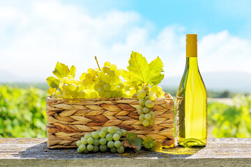 Wall Mural - Bottle of white wine and basket of grape