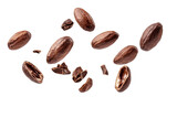 Dried Cocoa beans or seed falling in the air isolated on background, dried fruit ingredients for making chocolate.