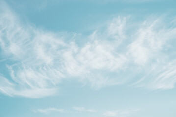 Wall Mural - clear blue sky and white clouds