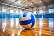 © TATSIANA - volleyball on the gym floor