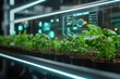 © KAMOSTOCK - A modern, high-tech indoor garden showcasing lush plants with digital interfaces and monitoring systems.