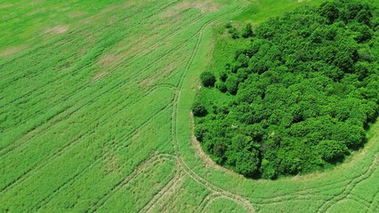 Poster - Sustainable Growth: Farmland Meets Forest