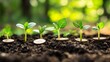 © Werckmeister - plant sprouting from the soil and metal coin