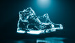 © Westend61 - Crystal shoe pair floating in darkness