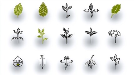 Poster - Set of 15 outline icons representing essential botany elements including leaf seed and plant growth symbols in a clean vector style with editable stroke features