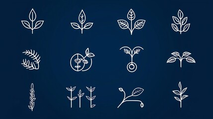 Poster - Set of 15 minimalist outline icons representing essential botany elements like leaf seed and plant growth symbols  Clean with editable strokes suitable for nature biology