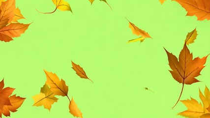 Wall Mural - colorful autumn leaves falling on green grass