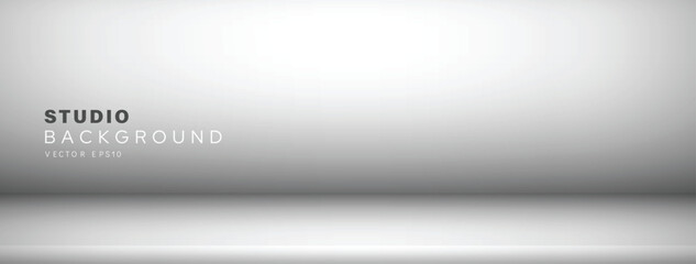Wall Mural - light gray and white banner gradient background vector design