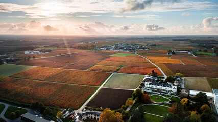 Médoc, Gironde, Landscape. Wineries and fishing cabins