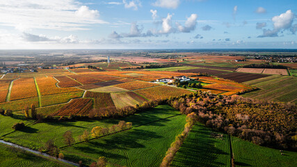 Médoc, Gironde, Landscape. Wineries and fishing cabins