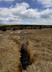 Wall Mural - Mountain meadow with dry grass and puddles