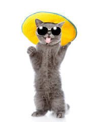 Aufkleber - Happy cat wearing sunglasses and summer hat stands on hind legs and sticks out tongue. isolated on white background