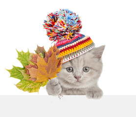 Aufkleber - Funny kitten wearing a warm hat with pompon holding dry colorful leaves above blank white banner. isolated on white background