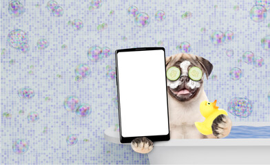 Leinwandbilder - Happy Pug puppy with cream on it face and with slices of cucumber in it eyes takes the bath and shows big smartphone with white blank screen in it paw. Empty space for text