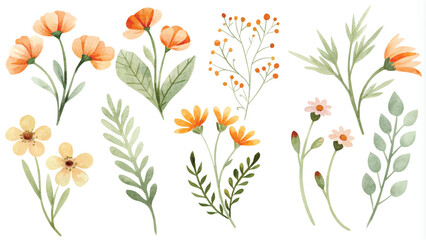 Wall Mural - Set of watercolor flowers and leaves, hand drawn vector illustration.