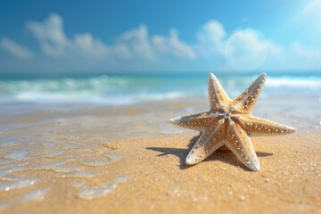 Wall Mural - Starfish on sandy beach in clear sea water  summer background.