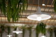 © Rattanachat - A white light fixture with a bulb is hanging from the ceiling.