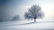 © Darunee - A barren field covered in snow with faint sunlight, capturing the quiet of winter