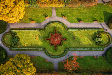 Fototapete - Autumn alley with yellow leaves in the public park in Gdansk Oliwa, Poland