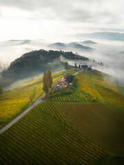 Wall Mural - aerial landscape with fluffy morning mists over the picturesque, autumn-covered rolling hills near m