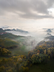 Wall Mural - Aerial landscape with fluffy morning mists over the picturesque, autumn-covered rolling hills near Maribor, close to the Austrian border in Slovenia.	