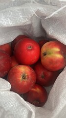 Sticker - apples in a bowl