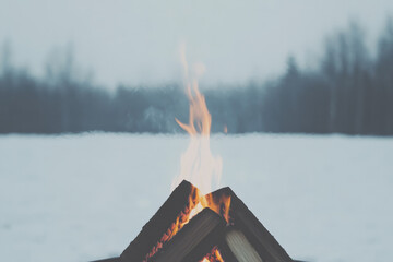 Wall Mural - A fire is burning in a pile of wood, with the flames reaching up to the sky